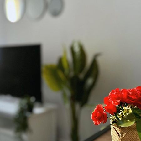 Cosy Palm Beach, Studio Pres De La Mer Et De La Croisette Cannes Exteriör bild